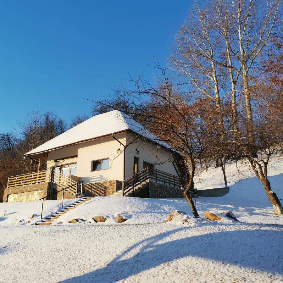 Provence Suceava Hotell Exteriör bild