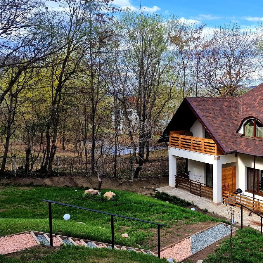 Provence Suceava Hotell Exteriör bild