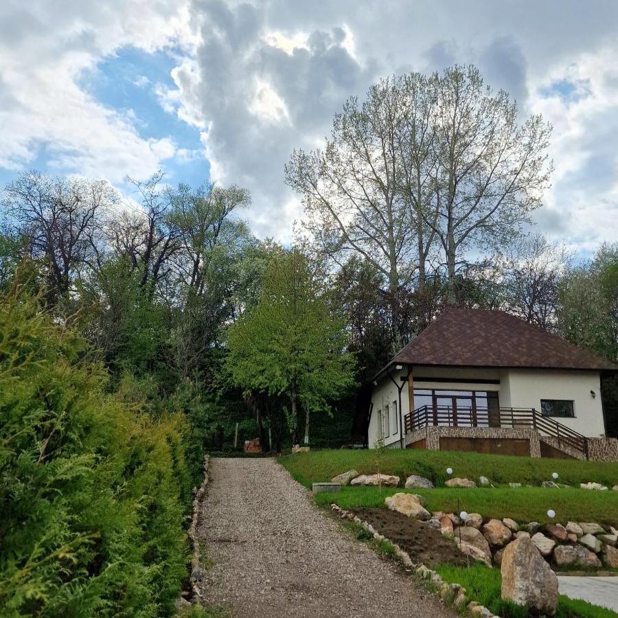 Provence Suceava Hotell Exteriör bild