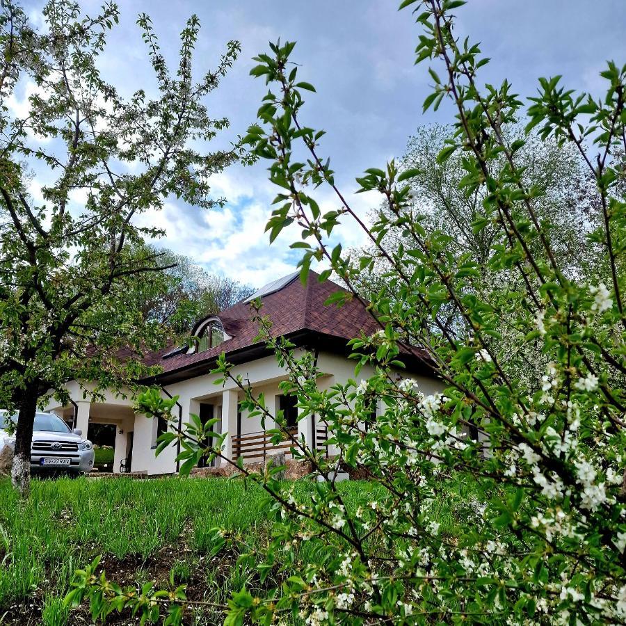 Provence Suceava Hotell Exteriör bild