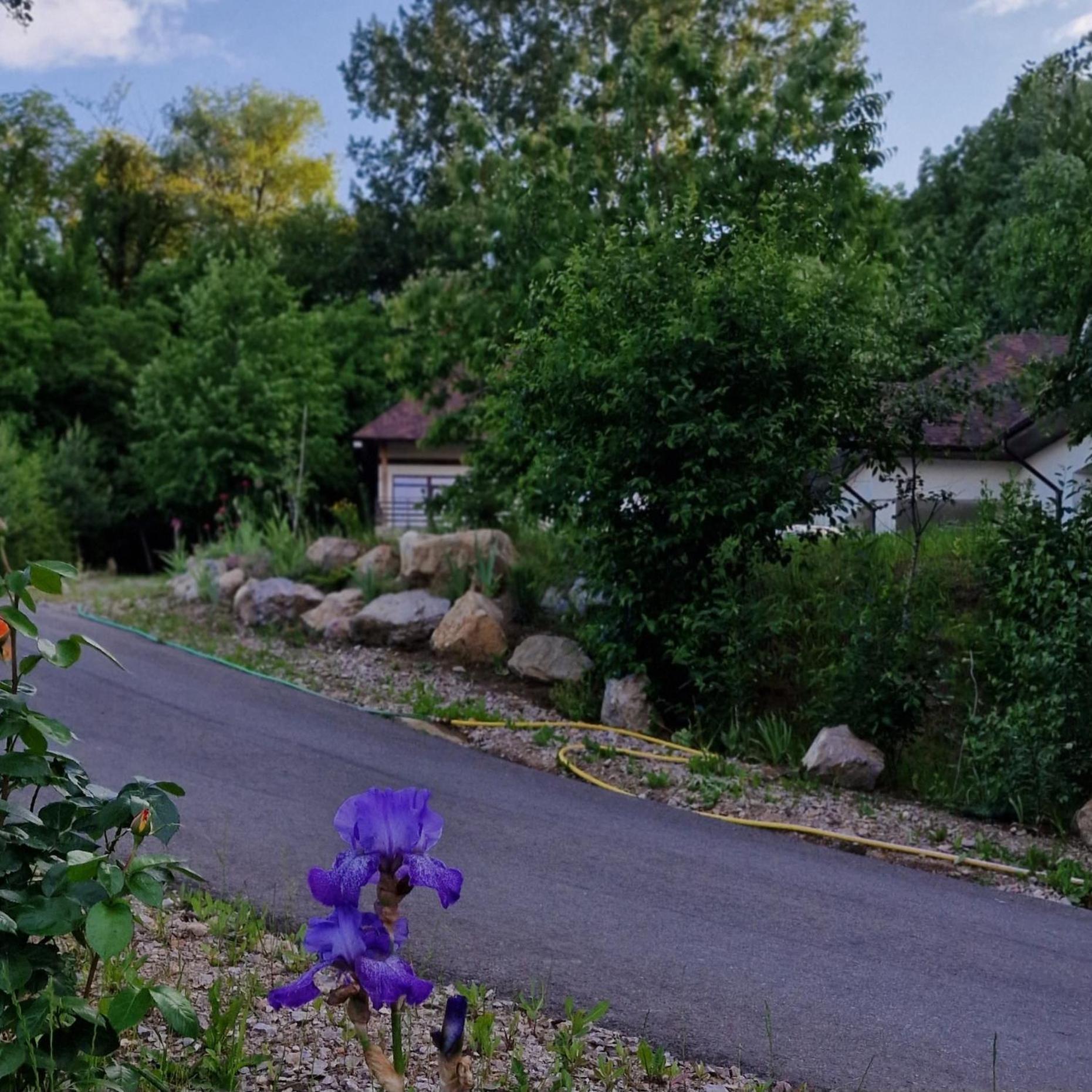 Provence Suceava Hotell Exteriör bild