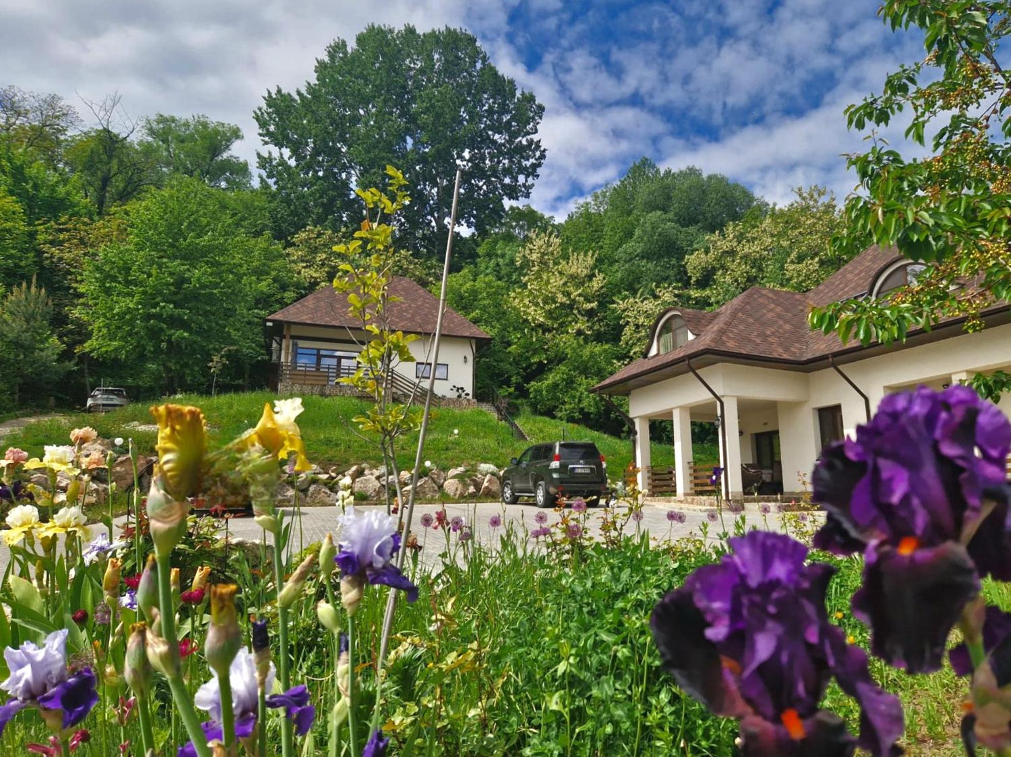 Provence Suceava Hotell Exteriör bild